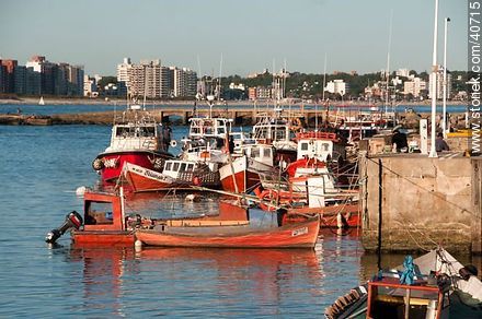 Puerto Buceo - Departamento de Montevideo - URUGUAY. Foto No. 40715