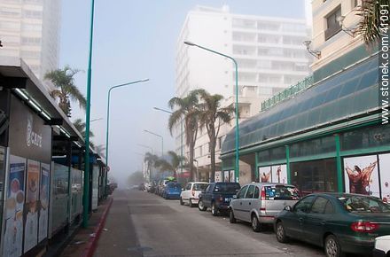 Gorlero Ave. morning - Punta del Este and its near resorts - URUGUAY. Photo #41091