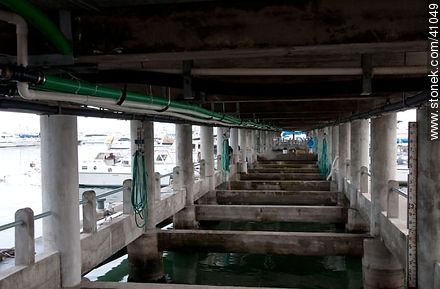 Estructura bajo una marina - Punta del Este y balnearios cercanos - URUGUAY. Foto No. 41049