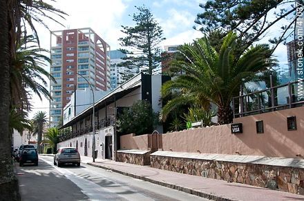 Calle Juan Díaz de Solís - Punta del Este y balnearios cercanos - URUGUAY. Foto No. 41037