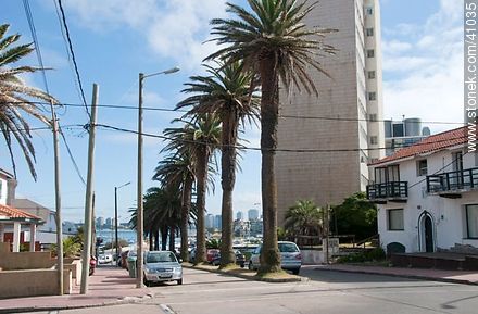 Calle 14 El Foque - Punta del Este y balnearios cercanos - URUGUAY. Foto No. 41035