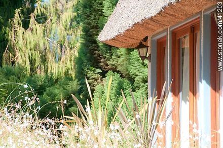 Calle de los Nenúfares - Punta del Este y balnearios cercanos - URUGUAY. Foto No. 41203