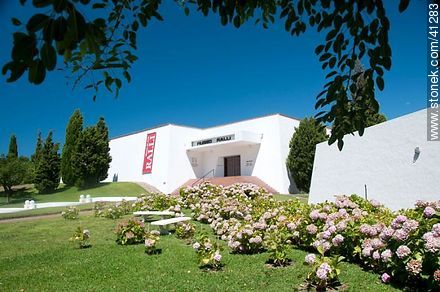 Ralli Museum at Beverly Hills quarter - Punta del Este and its near resorts - URUGUAY. Photo #41283