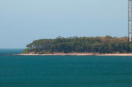 Gorriti Island - Punta del Este and its near resorts - URUGUAY. Photo #41433