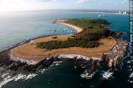 Gorriti Island - Punta del Este and its near resorts - URUGUAY. Foto No. 41809