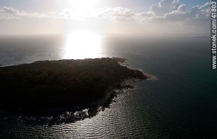 Gorriti Island - Punta del Este and its near resorts - URUGUAY. Photo #41803