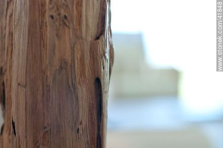 Wood eaten by insects. -  - MORE IMAGES. Photo #41848