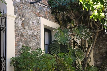 Posada Plaza Mayor - Departamento de Colonia - URUGUAY. Foto No. 42042