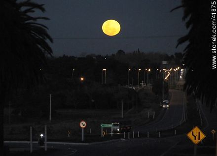 Full moon in Route 1 - Department of Colonia - URUGUAY. Foto No. 41875