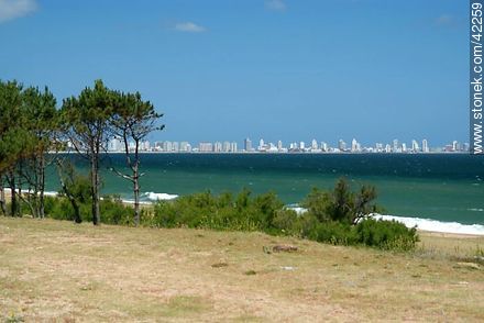 Parada 33 de Playa Mansa - Punta del Este y balnearios cercanos - URUGUAY. Foto No. 42259