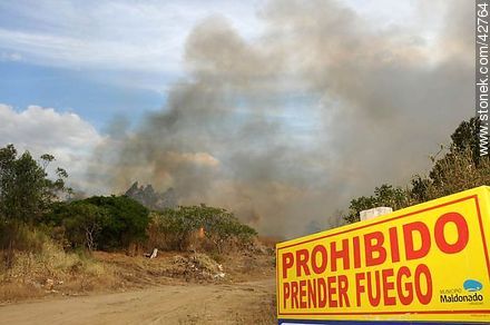 Prohibited to set fire. - Department of Maldonado - URUGUAY. Photo #42764