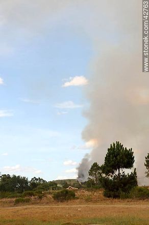 Incendio en Playa Hermosa - Departamento de Maldonado - URUGUAY. Foto No. 42763