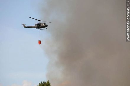 Helicopter extinguishing a fire in Playa Hermosa. - Department of Maldonado - URUGUAY. Photo #42757
