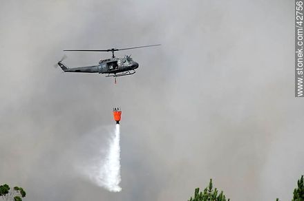 Helicopter extinguishing a fire in Playa Hermosa. - Department of Maldonado - URUGUAY. Photo #42756
