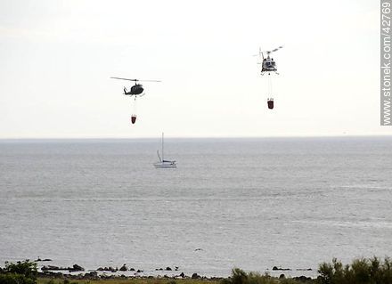 Extinguiendo un incendio. Helicópteros con carga de agua. - Departamento de Maldonado - URUGUAY. Foto No. 42769