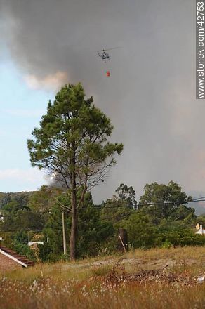 Extinguiendo un incendio. Helicóptero entre el humo. - Departamento de Maldonado - URUGUAY. Foto No. 42753