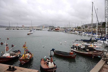 Puerto de Piriápolis. Lanchas pesqueras. - Departamento de Maldonado - URUGUAY. Foto No. 42664