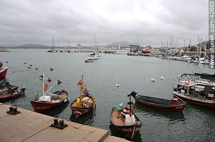 Port of Piriápolis. Fishing boats. - Department of Maldonado - URUGUAY. Photo #42663