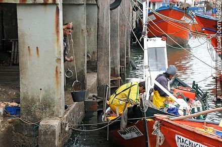 Preparing the day in a fishing boat - Department of Maldonado - URUGUAY. Photo #42659