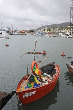  - Departamento de Maldonado - URUGUAY. Foto No. 42655