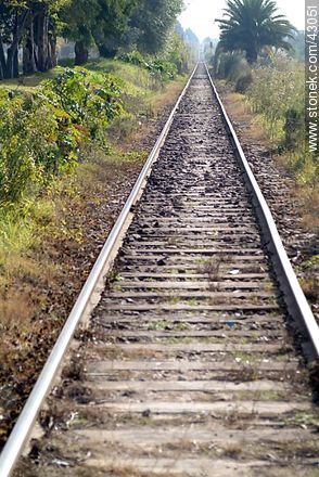 Straight railway. - Department of Montevideo - URUGUAY. Photo #43051