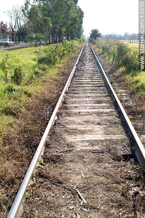 Straight railway. - Department of Montevideo - URUGUAY. Photo #43050