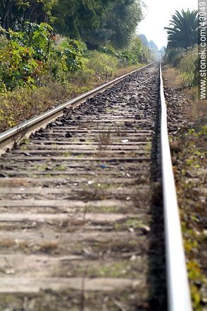Straight railway. - Department of Montevideo - URUGUAY. Photo #43049