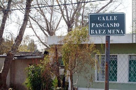 Calle Pascasio Baez Mena - Departamento de Montevideo - URUGUAY. Foto No. 43046