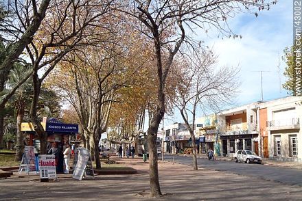 Kiosco Pajarito en la plaza - Departamento de Canelones - URUGUAY. Foto No. 43002
