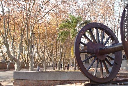 Old railway wheel in Bvar. Aparicio Saravia - Department of Montevideo - URUGUAY. Foto No. 43118