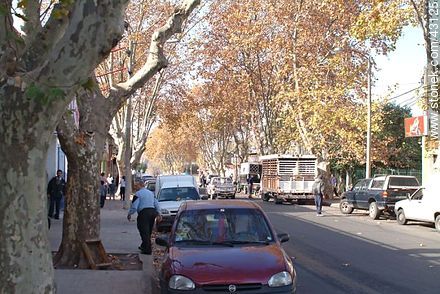 Aparicio Saravia Blvd. - Department of Montevideo - URUGUAY. Foto No. 43125
