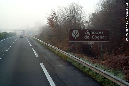 Cognac vineyards in winter - Region of Midi-Pyrénées - FRANCE. Foto No. 43248
