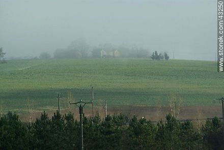 Winter fog in the French countryside. - Region of Midi-Pyrénées - FRANCE. Foto No. 43250
