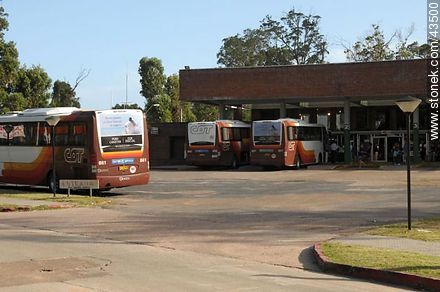Piriápolis Bus Terminal - Department of Maldonado - URUGUAY. Photo #43500
