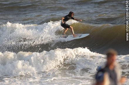 Surfer riding the waves in Playa San Francisco - Department of Maldonado - URUGUAY. Photo #43458