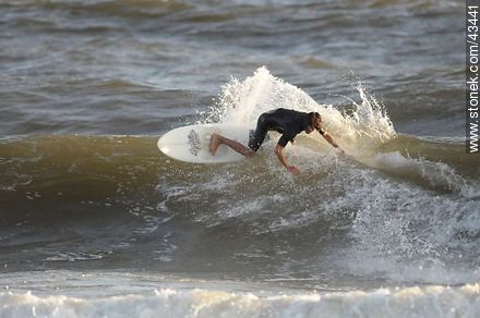 Surfer surcando las olas. - Departamento de Maldonado - URUGUAY. Foto No. 43441