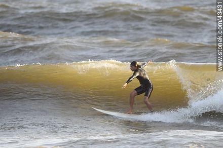 Surfer surcando las olas. - Departamento de Maldonado - URUGUAY. Foto No. 43431