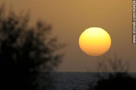 Sol gigante del atardecer - Departamento de Maldonado - URUGUAY. Foto No. 43424