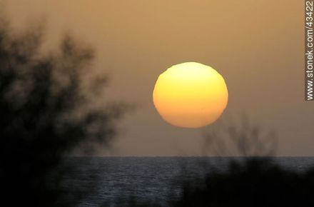 Giant sunset sun - Department of Maldonado - URUGUAY. Photo #43422