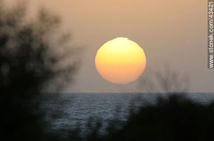 Giant sunset sun - Department of Maldonado - URUGUAY. Photo #43421