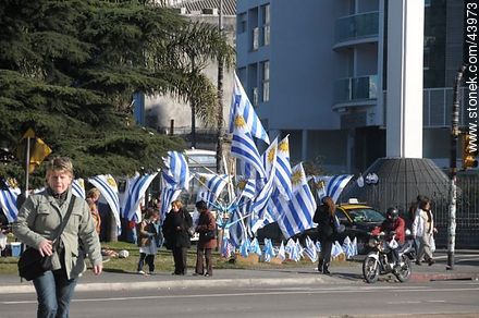 Venta de banderas uruguayas - Departamento de Montevideo - URUGUAY. Foto No. 43973