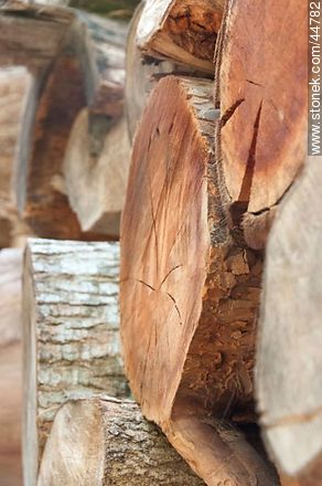 Wood logs -  - MORE IMAGES. Photo #44782