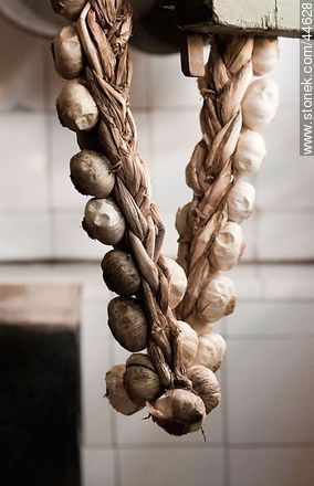 String of garlic -  - MORE IMAGES. Photo #44628