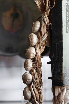 String of garlic - Department of Florida - URUGUAY. Foto No. 44627