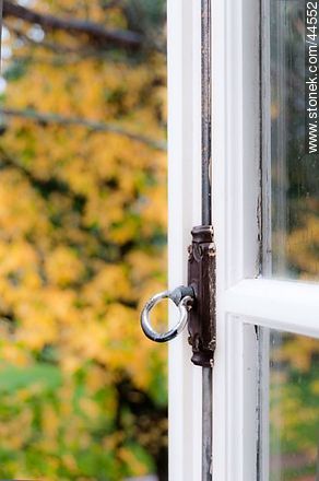 Window to autumn -  - MORE IMAGES. Photo #44552