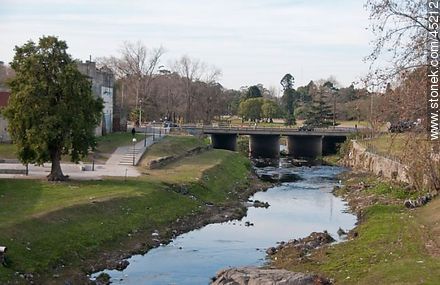 Parque del Pardo. Arroyo Miguelete. - Departamento de Montevideo - URUGUAY. Foto No. 45212