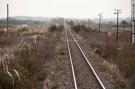 Vista del campo desde la locomotora. Tramo paralelo a ruta 11 rumbo a estación Margat. - Departamento de Montevideo - URUGUAY. Foto No. 45133