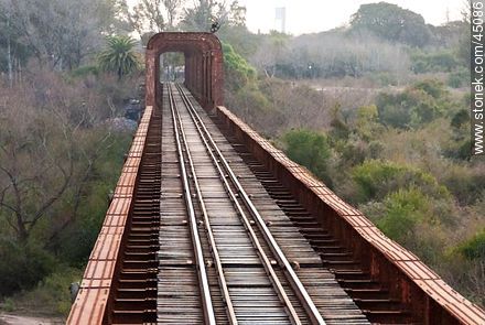 Railway Bridge over the Santa Lucia river. - Department of Montevideo - URUGUAY. Foto No. 45086