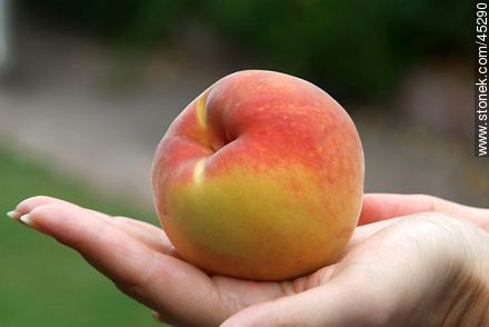 Peach - Flora - MORE IMAGES. Photo #45290
