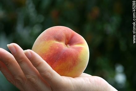 Peach - Flora - MORE IMAGES. Foto No. 45288